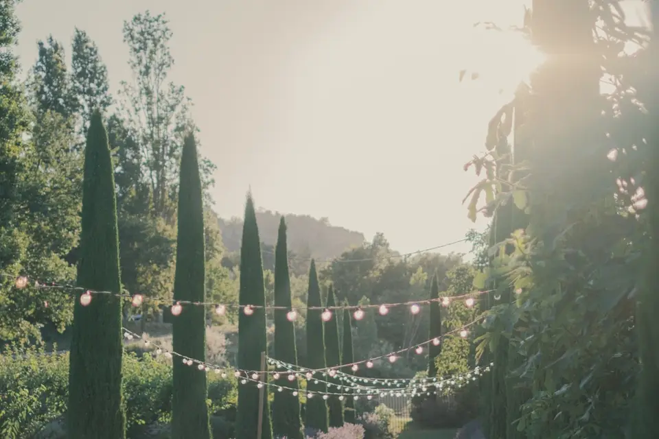 L'Atelier Fleuri — photo 2