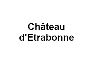 Château d'Etrabonne — photo 8