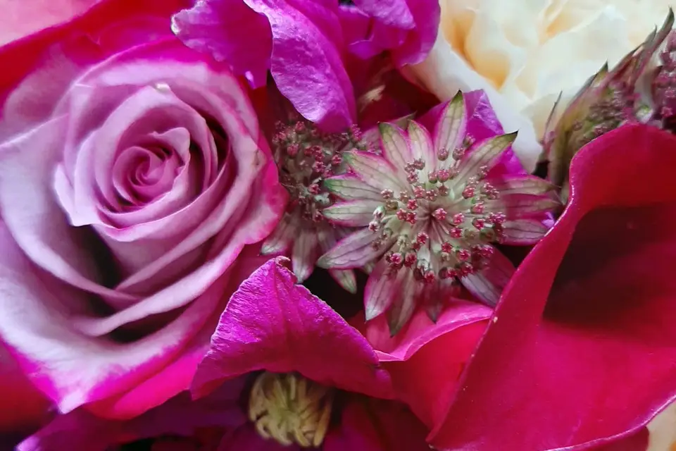 Amandine Fleurs — photo 4