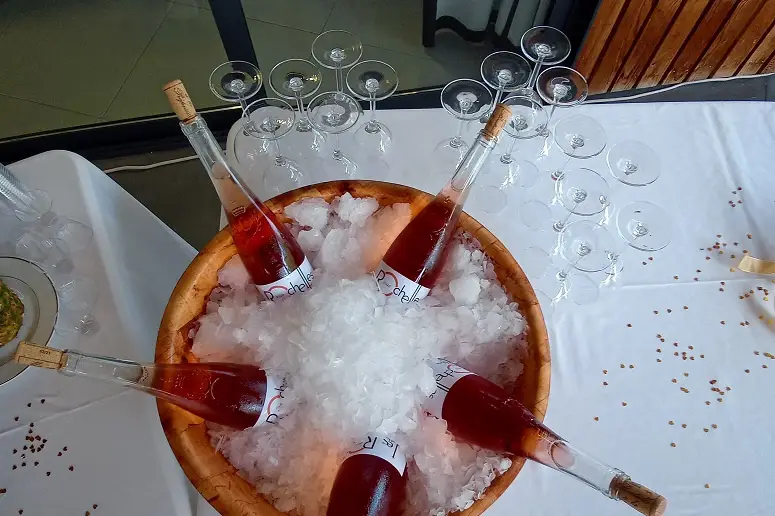 Escales Creoles — photo 6