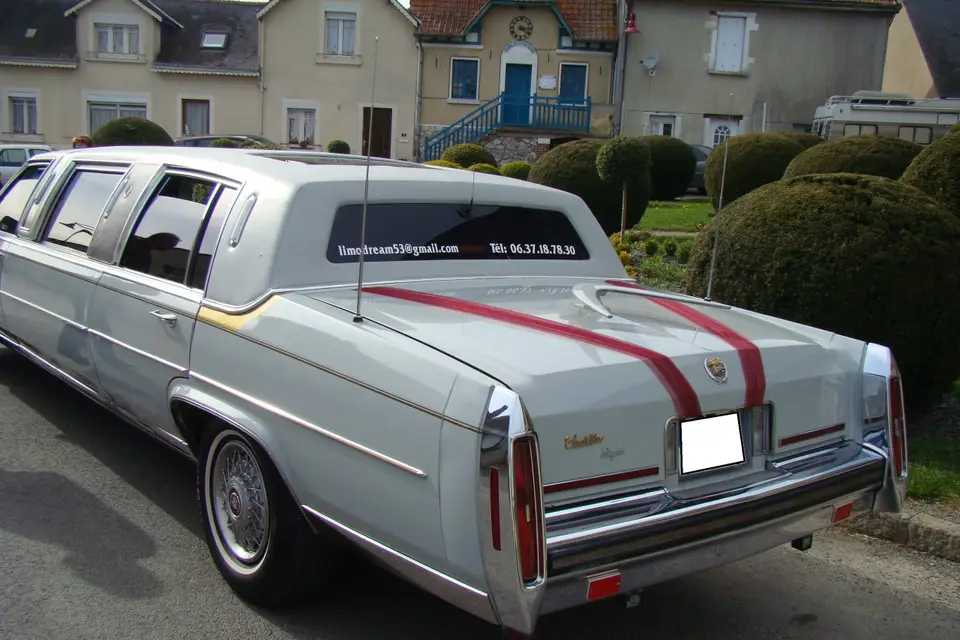 Limo Dream 53 — photo 4