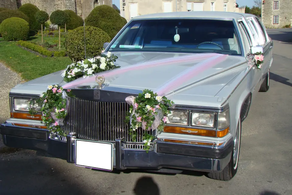 Limo Dream 53 — photo 5