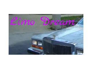 Limo Dream 53 — photo 7