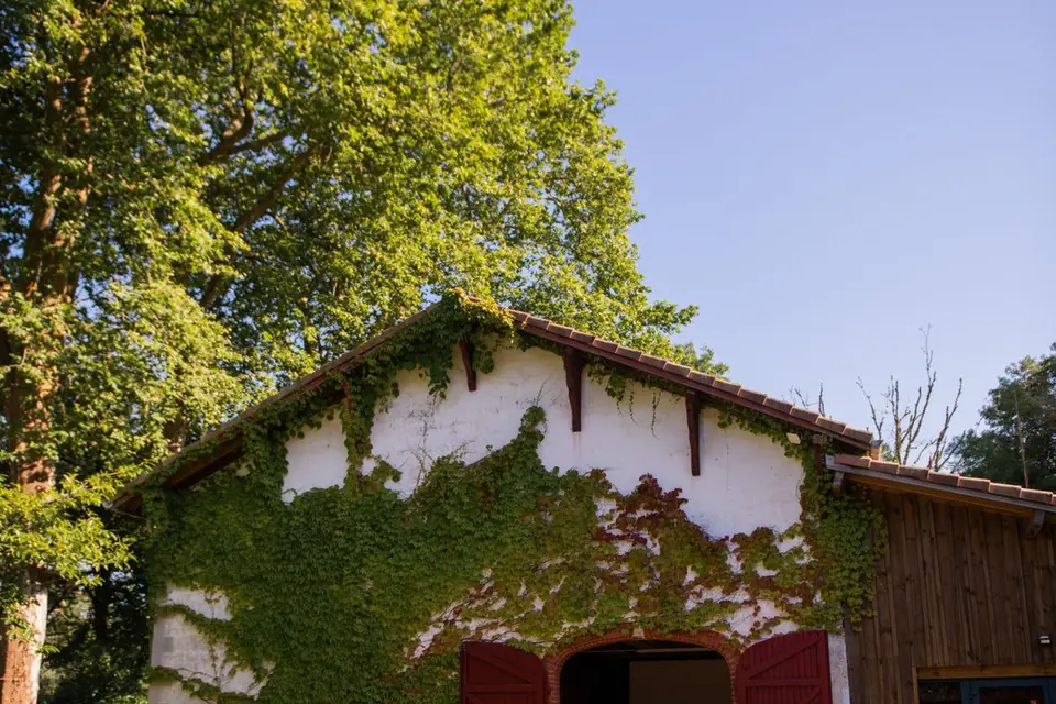 Domaine de Millon — photo 6