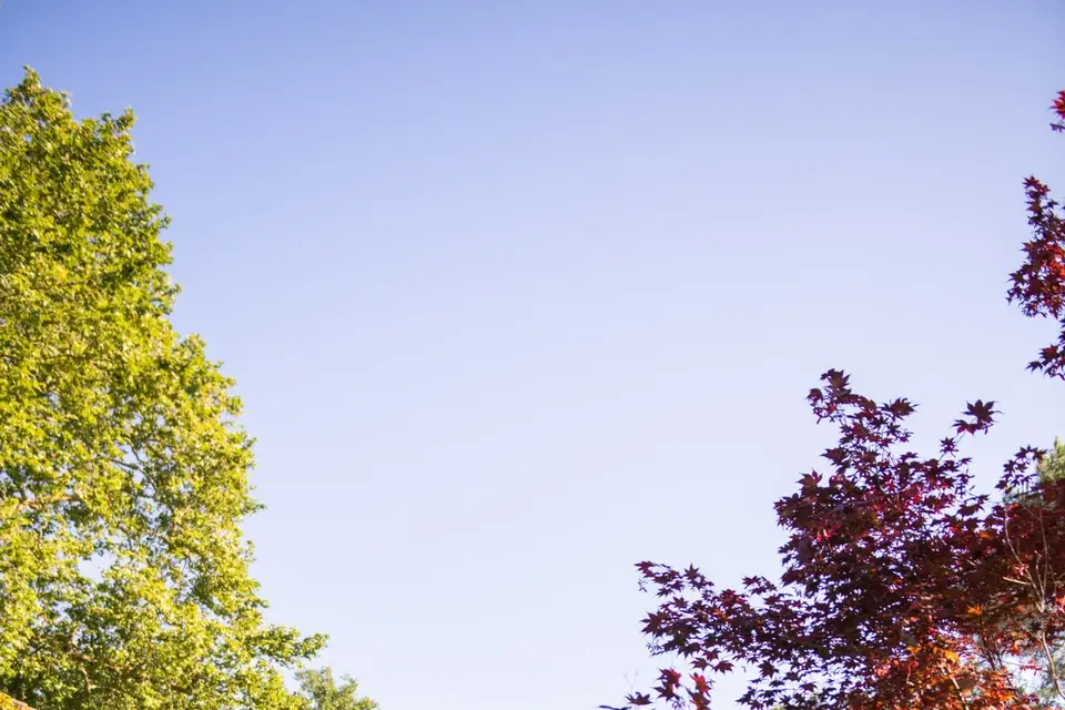 Domaine de Millon — photo 2