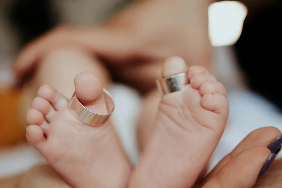 Linçay Martin Studio — photo 4