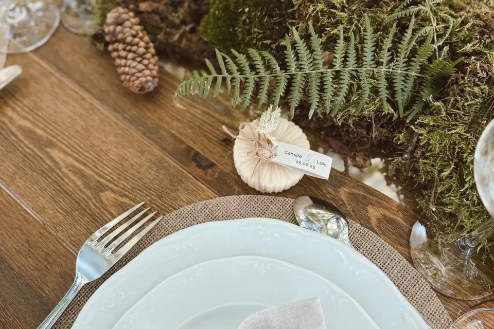 Solylune — photo 8