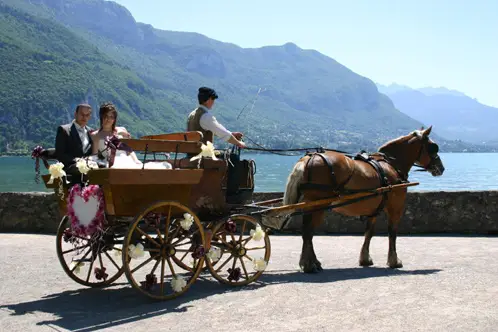 Attelages de la Flèche Blonde — photo 4