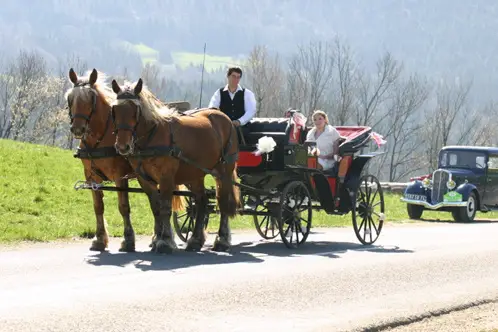 Attelages de la Flèche Blonde — photo 2