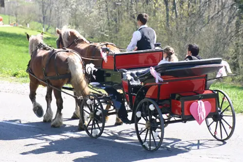 Attelages de la Flèche Blonde — photo 1