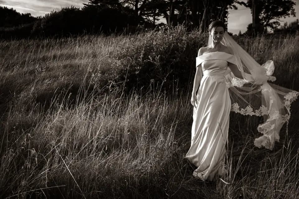 Give Me Five — photo 1