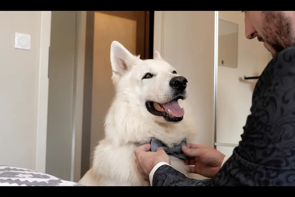 Black Ghost Prod — photo 6