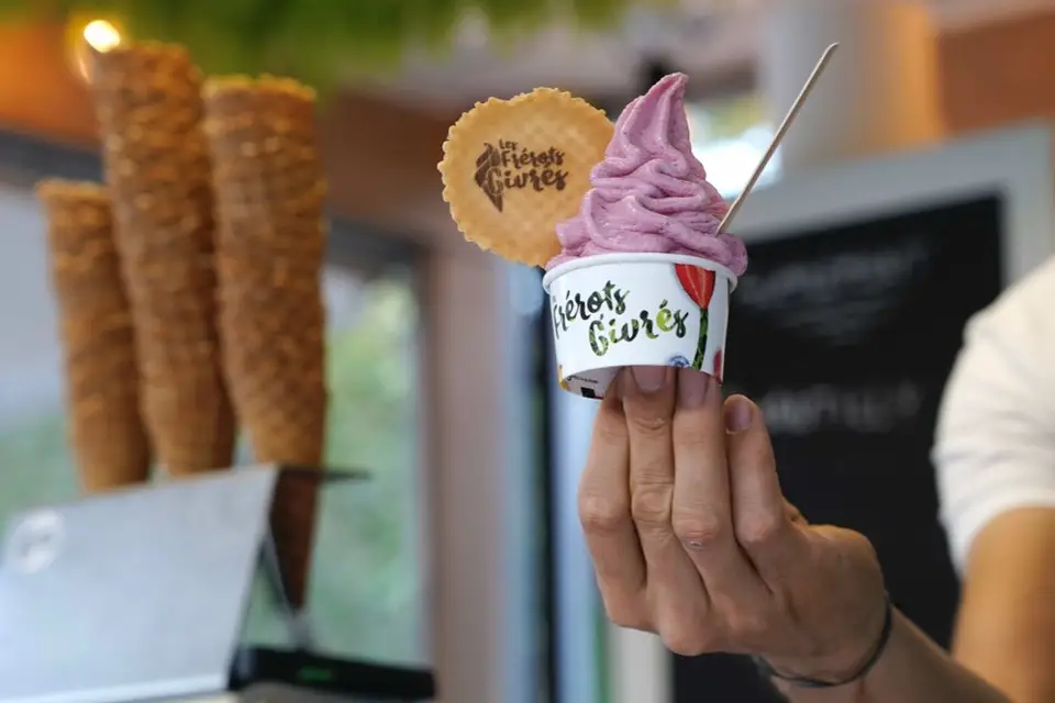 Le Glacier des Arts — photo 7