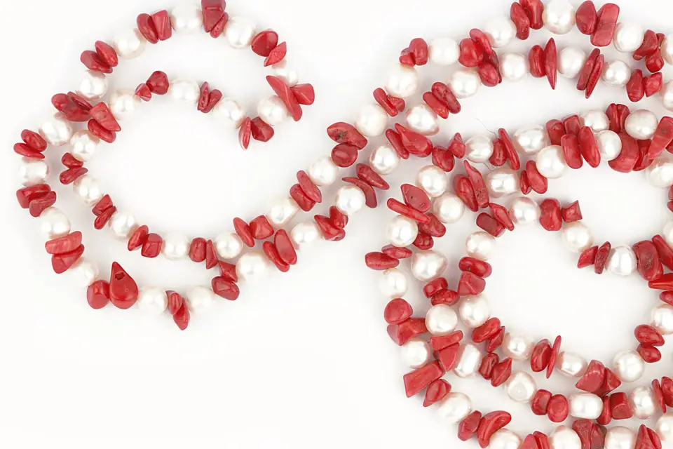 Isabelle Zabok — photo 4