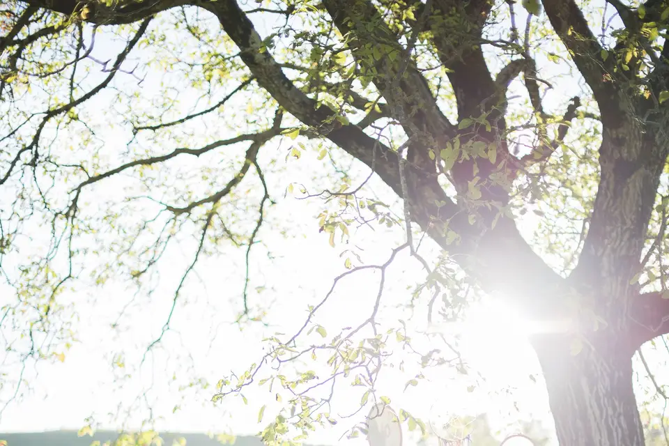 Peggy Garnaud — photo 1