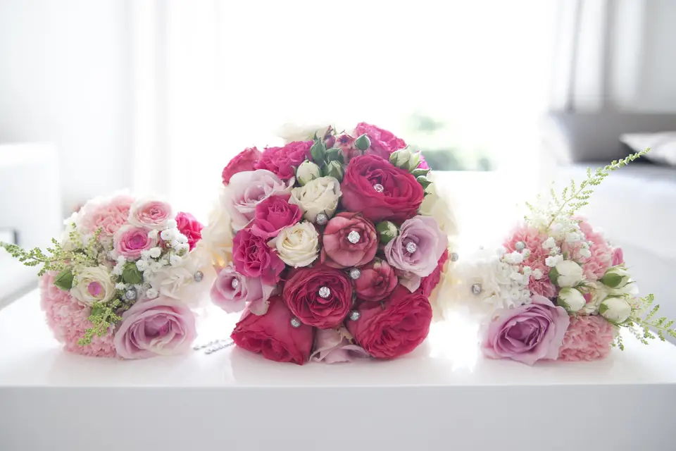 Peggy Garnaud — photo 7