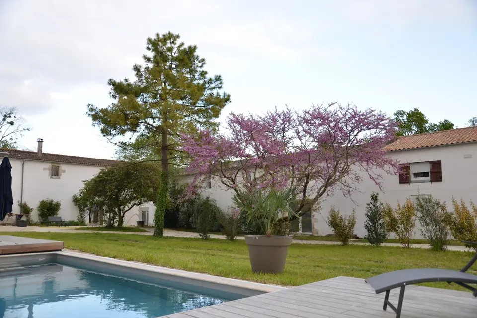 La Fromigère — photo 8