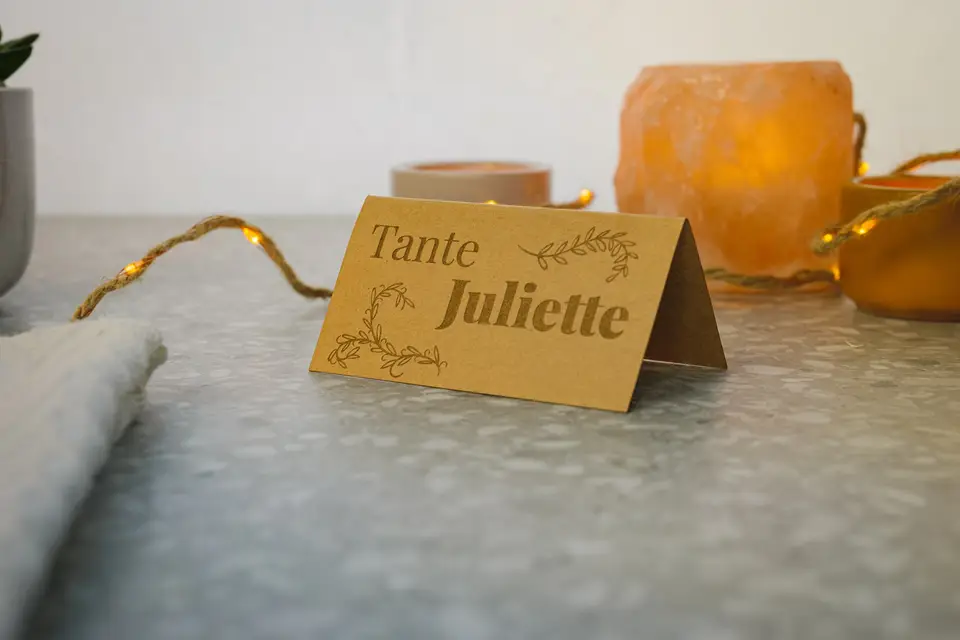 Signé Manchot — photo 5