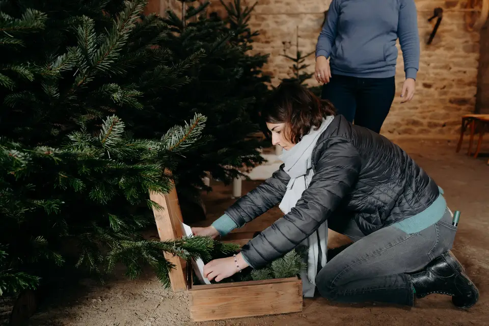 Agence Montaine — photo 3