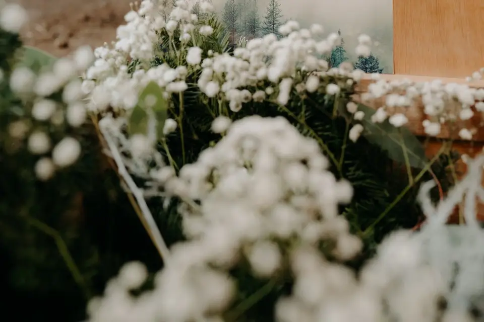 Agence Montaine — photo 4