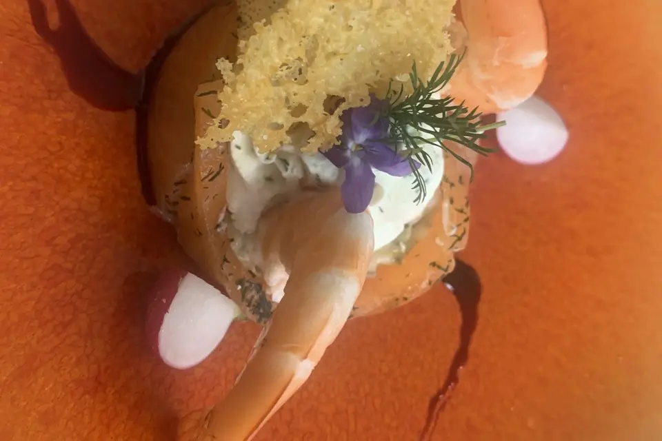 Maison MJ — photo 4