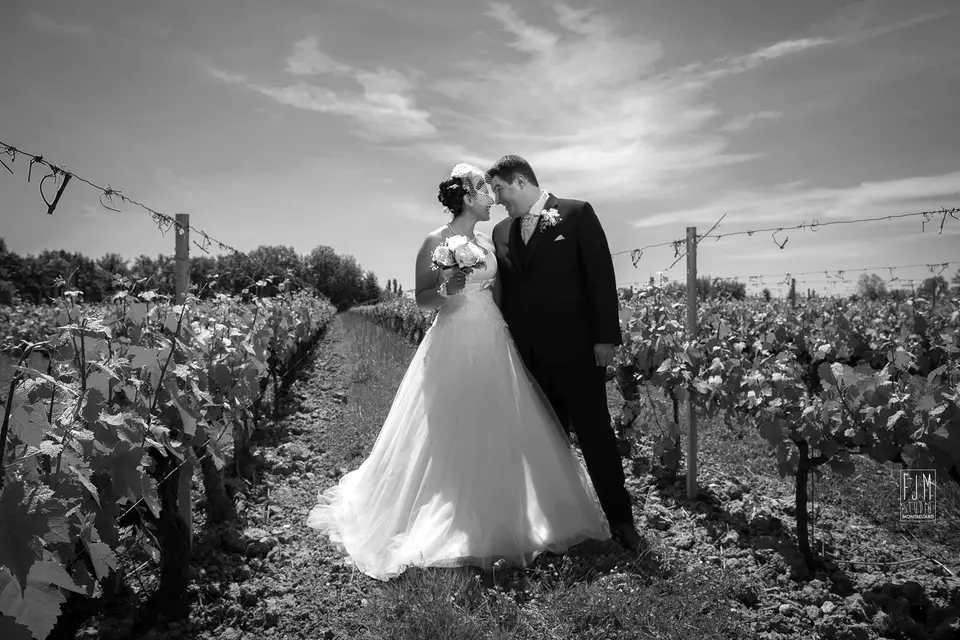 FJM Studio — photo 3