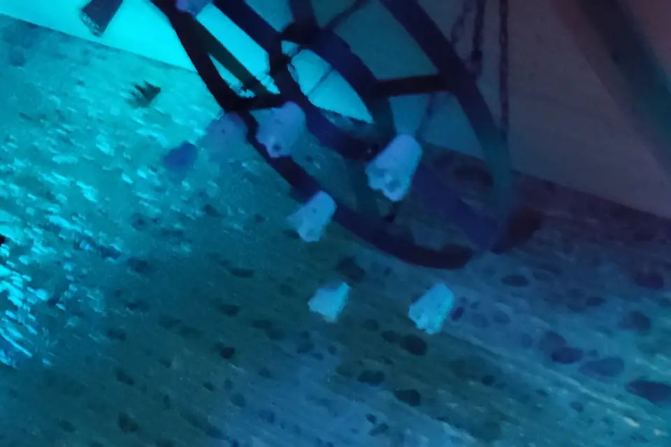 Happy Kids — photo 3