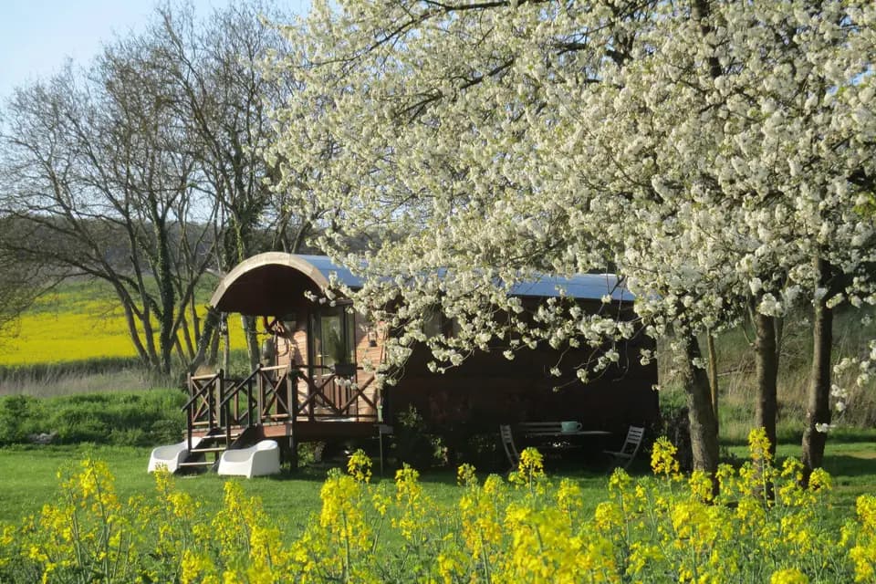 Domaine du Moulin de l'Etang — photo 3