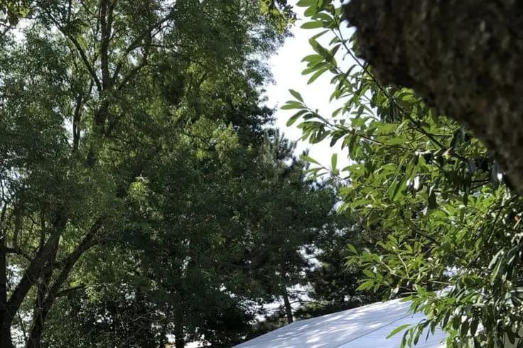 Domaine du Moulin de l'Etang — photo 2