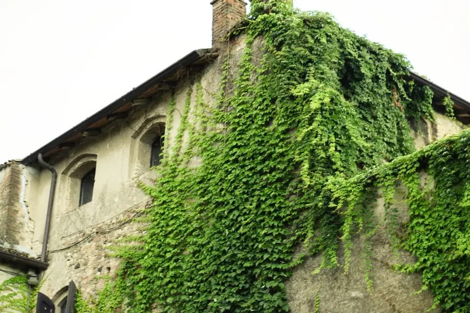 Violette & Rose - Wedding and Event Planner — photo 8