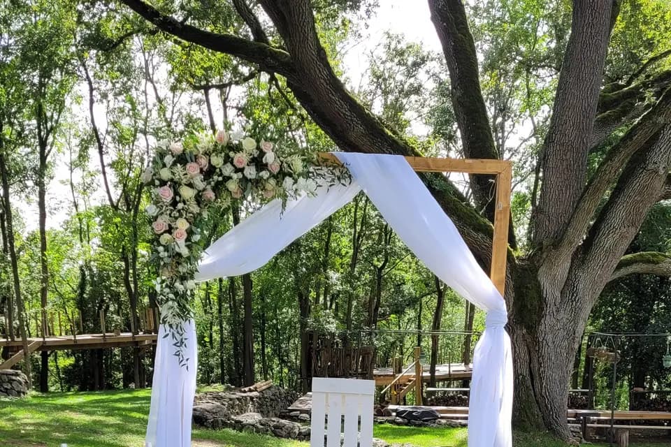 Marché aux Fleurs — photo 5