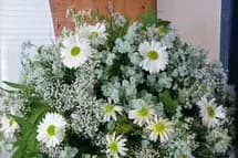 Louée Soit La Fleur — photo 4