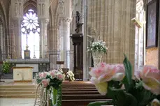 Louée Soit La Fleur — photo 6