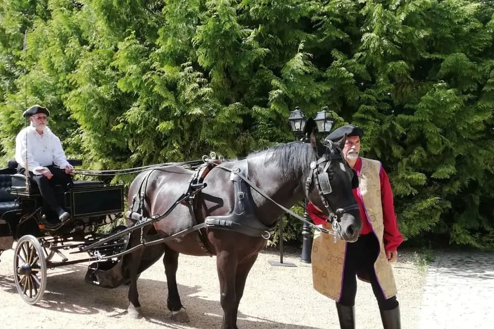 Les Calèches du Mesnil — photo 3