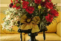 Louée Soit La Fleur — photo 2