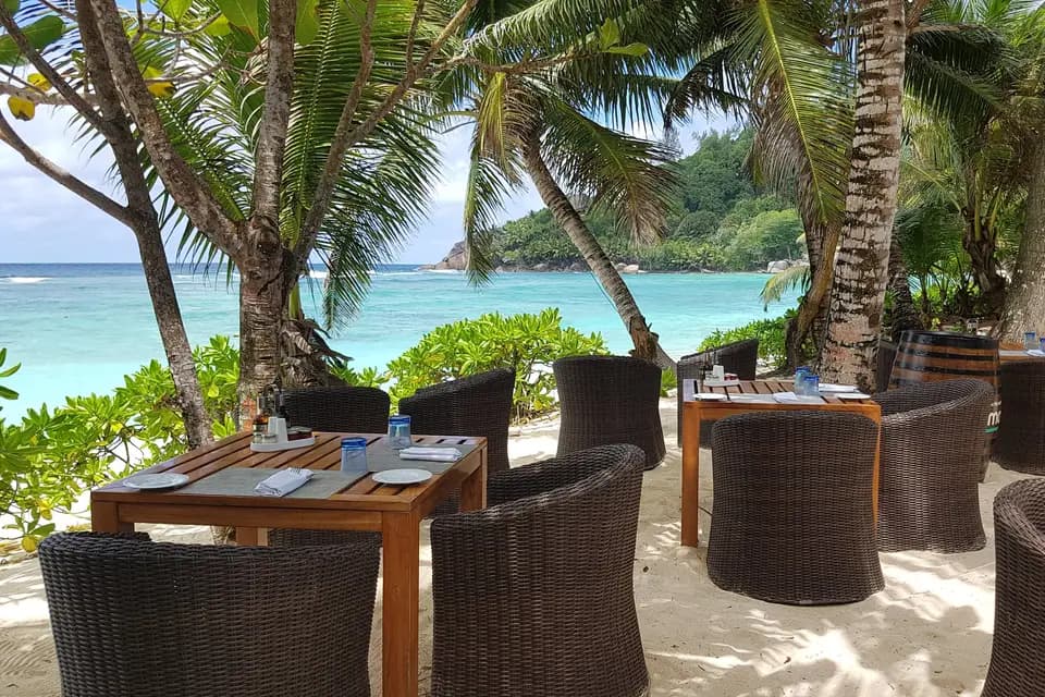 CR Voyages — photo 4