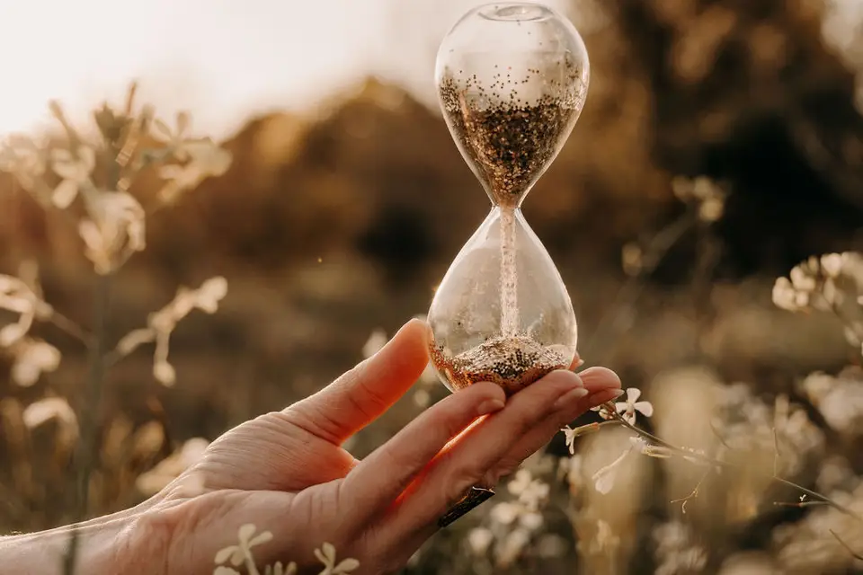 Plumette Ceremonies — photo 5