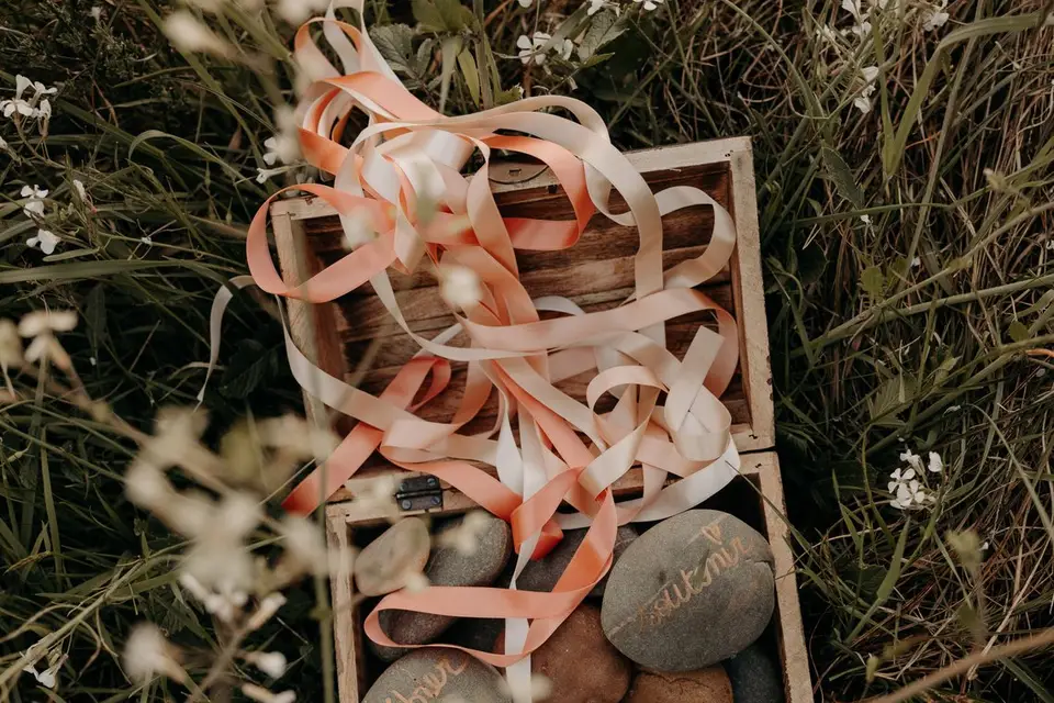 Plumette Ceremonies — photo 6