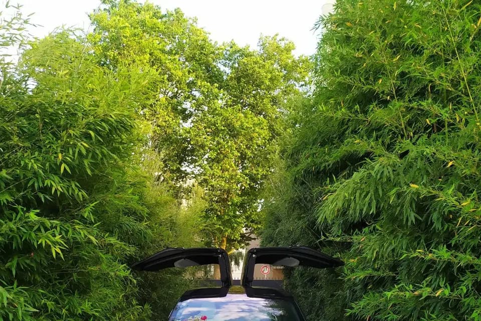 ElectricWay — photo 6