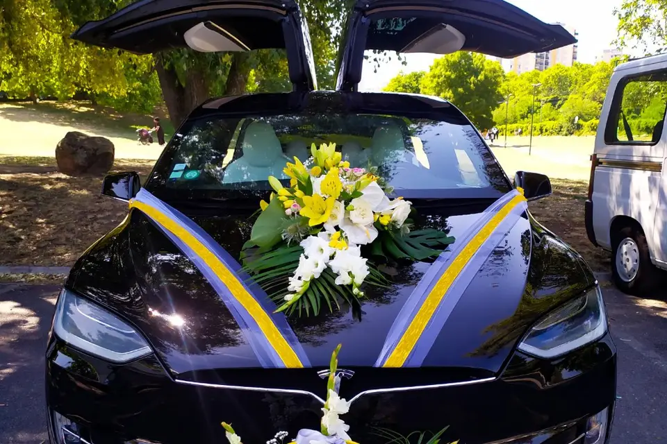 ElectricWay — photo 4