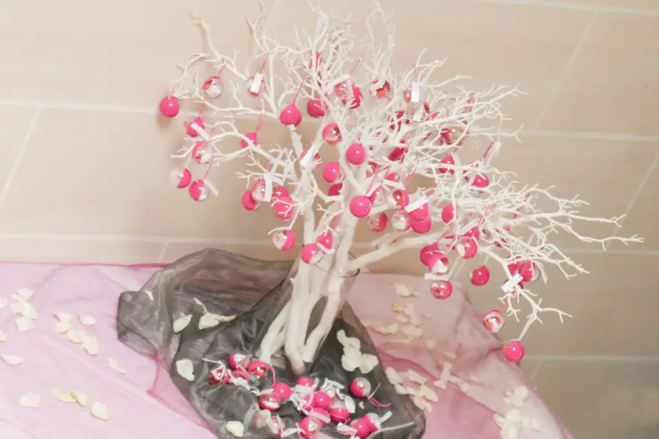 NatAgency — photo 8