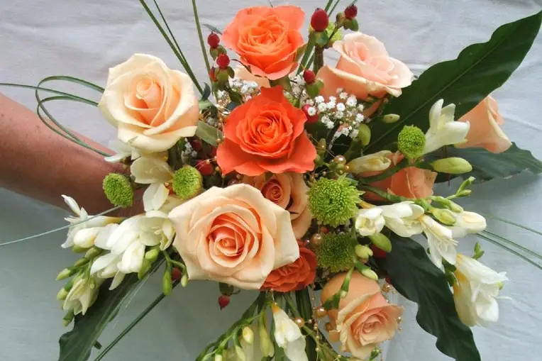 Stéphane Fernandez - Photographe 81 — photo 9