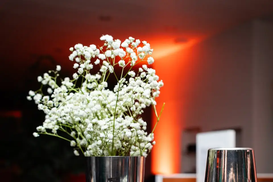 Vlad Bartender — photo 2