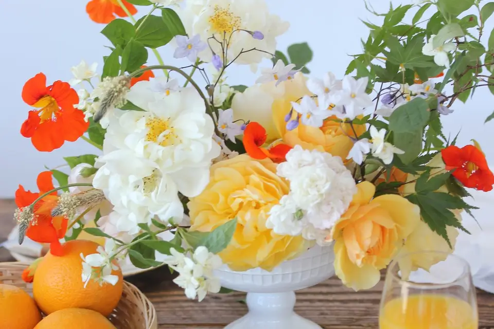 Les Ephémères — photo 6