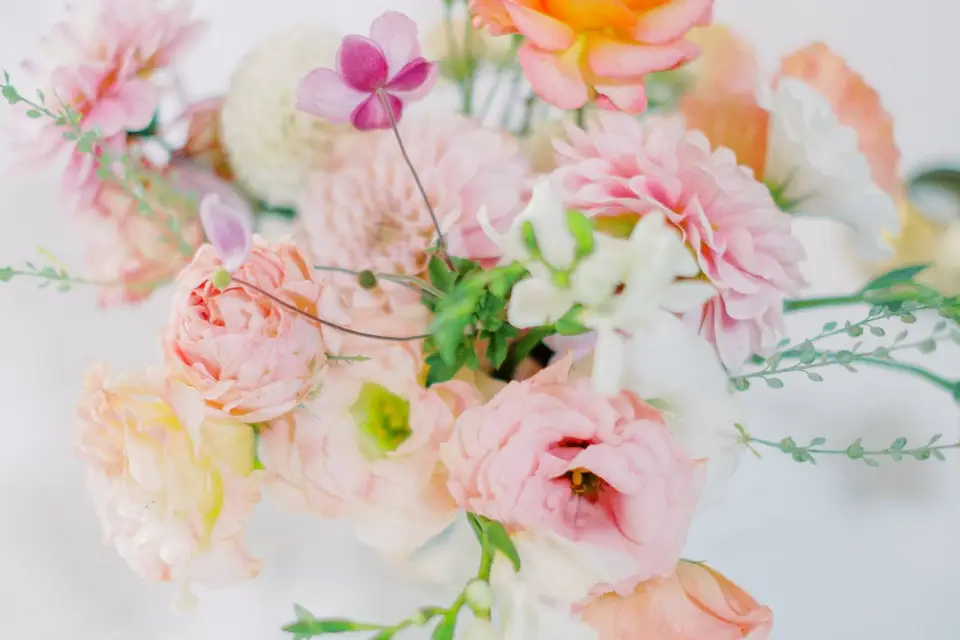 Les Ephémères — photo 5