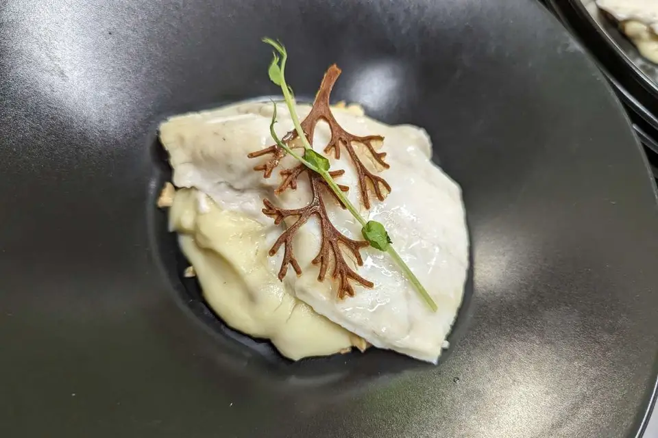 Jerome Tassin — photo 4