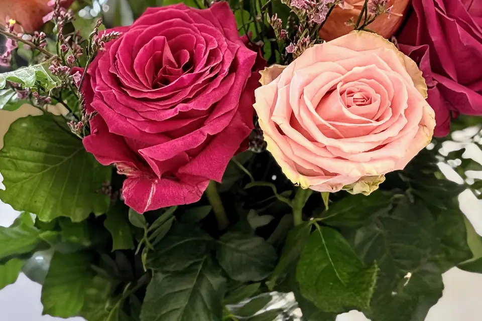 CC Événements — photo 5