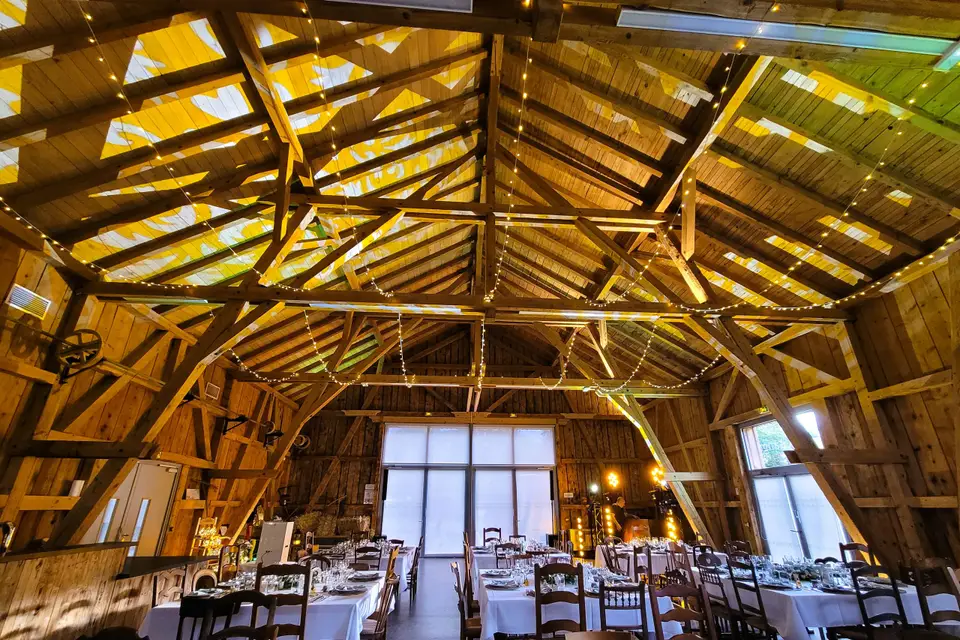 Tony DiscJoncté — photo 7