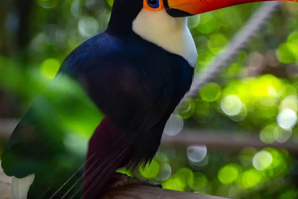 Itinéraire de Voyage — photo 8