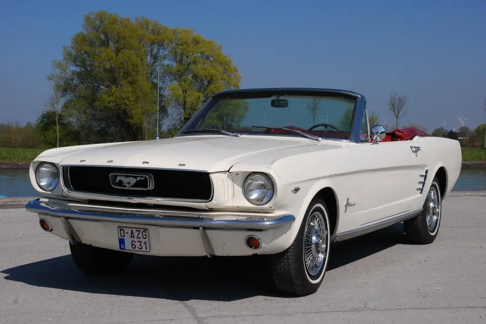 Taxilocation — photo 7